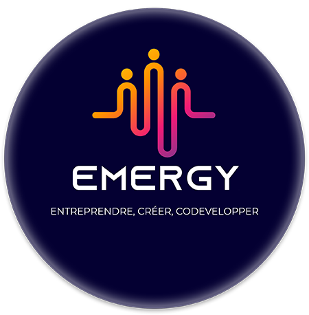 Emergy