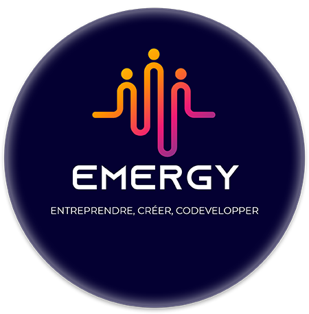 Emergy